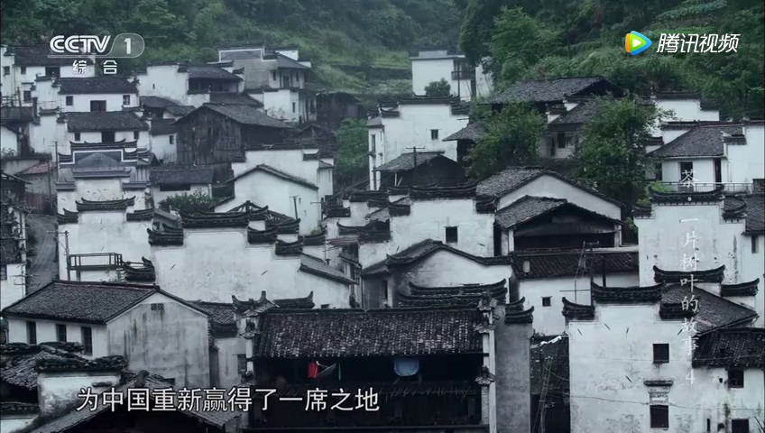 央视纪录片-祁门红茶非遗传承人谢永中
